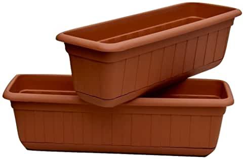 Plant Plastic Box