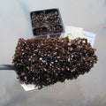 indoor soil mix