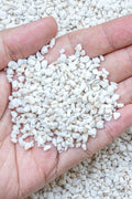 perlite Soil