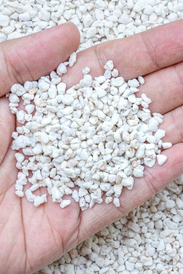 perlite Soil