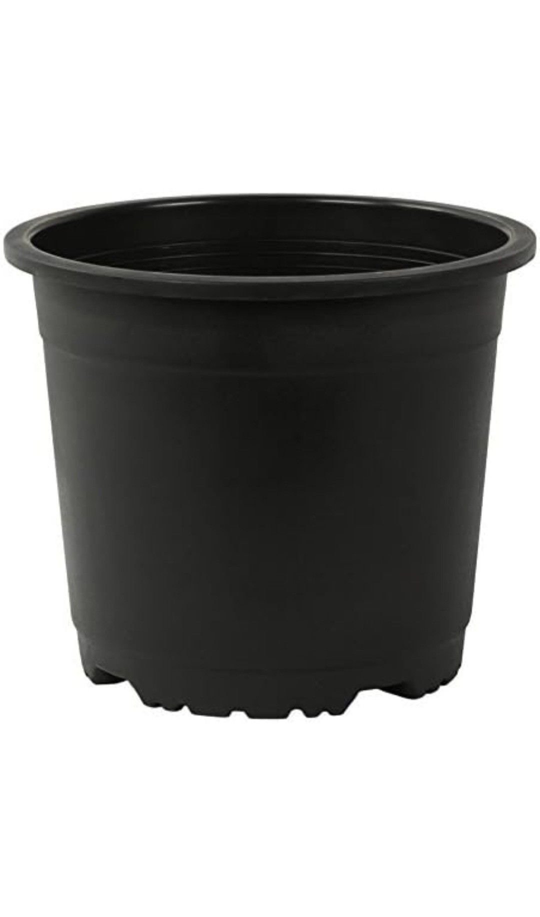 Black Bot With Plate