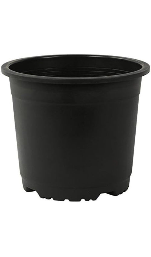 Black Bot With Plate